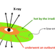 Illustration for article titled Scientists Figured Out a Way to 'See' a Black Hole with Just a Backyard Telescope